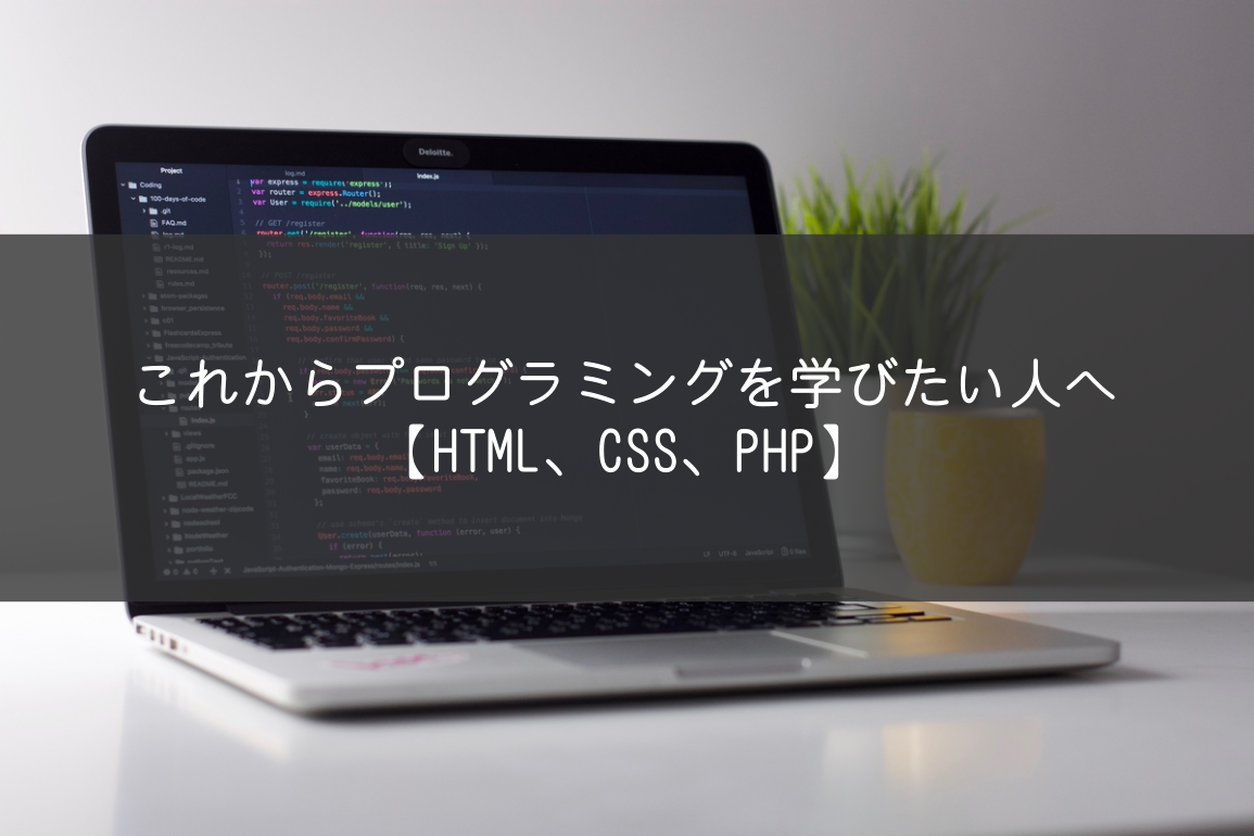これからプログラミングを学びたい人へ【HTML、CSS、PHP】